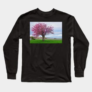 Lynn Shore Drive Spring Cherry Blossoms Lynn MA Long Sleeve T-Shirt